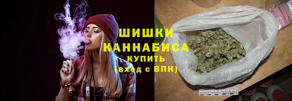 стаф Гусь-Хрустальный