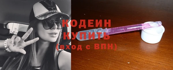 стаф Гусь-Хрустальный