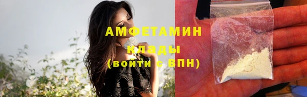 стаф Гусь-Хрустальный