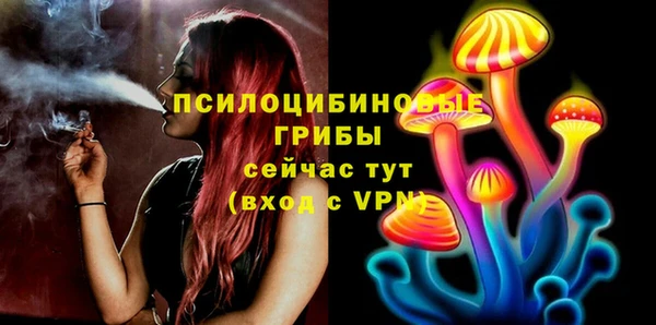 стаф Гусь-Хрустальный