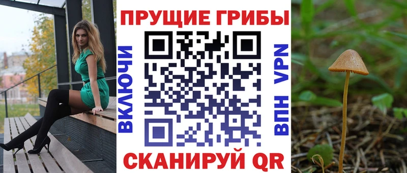 Купить где  Козловка  Галлюциногенные грибы Magic Shrooms 